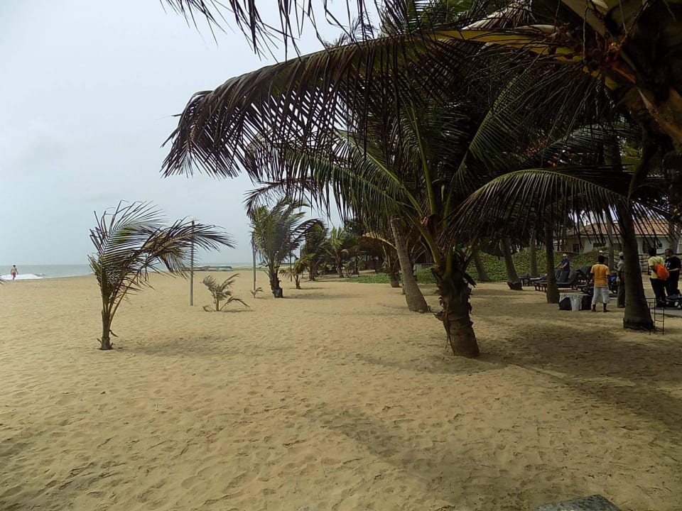 Beach Alexandra Family Villa