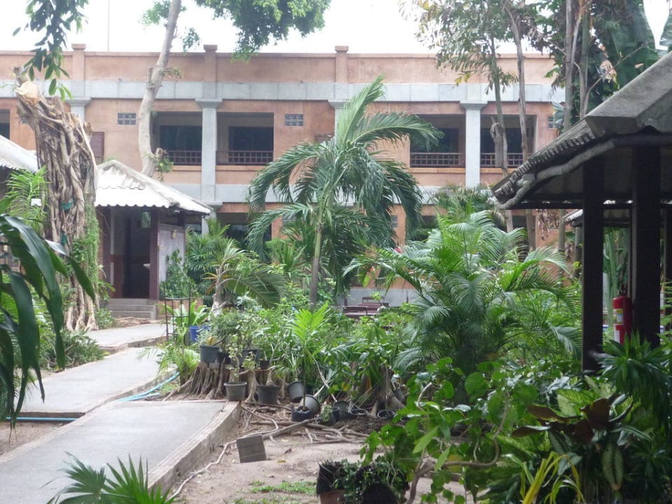 Dschungelgarten Hotel The Cottage