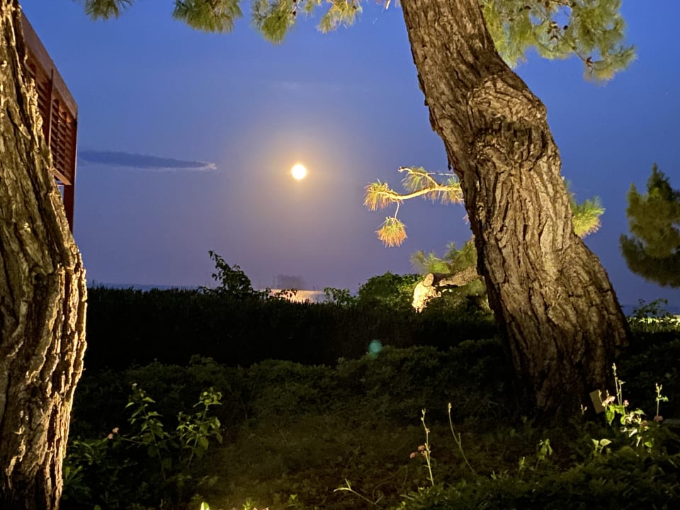 Ausblick Rixos Premium Tekirova