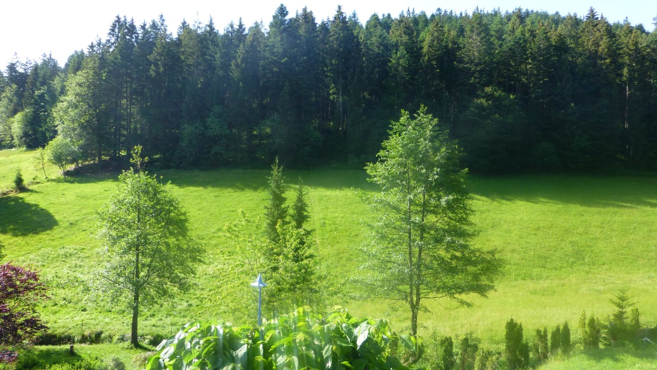 Vom Balkon der Zimmer 1 und 2 Wirtshaus Poppeltal