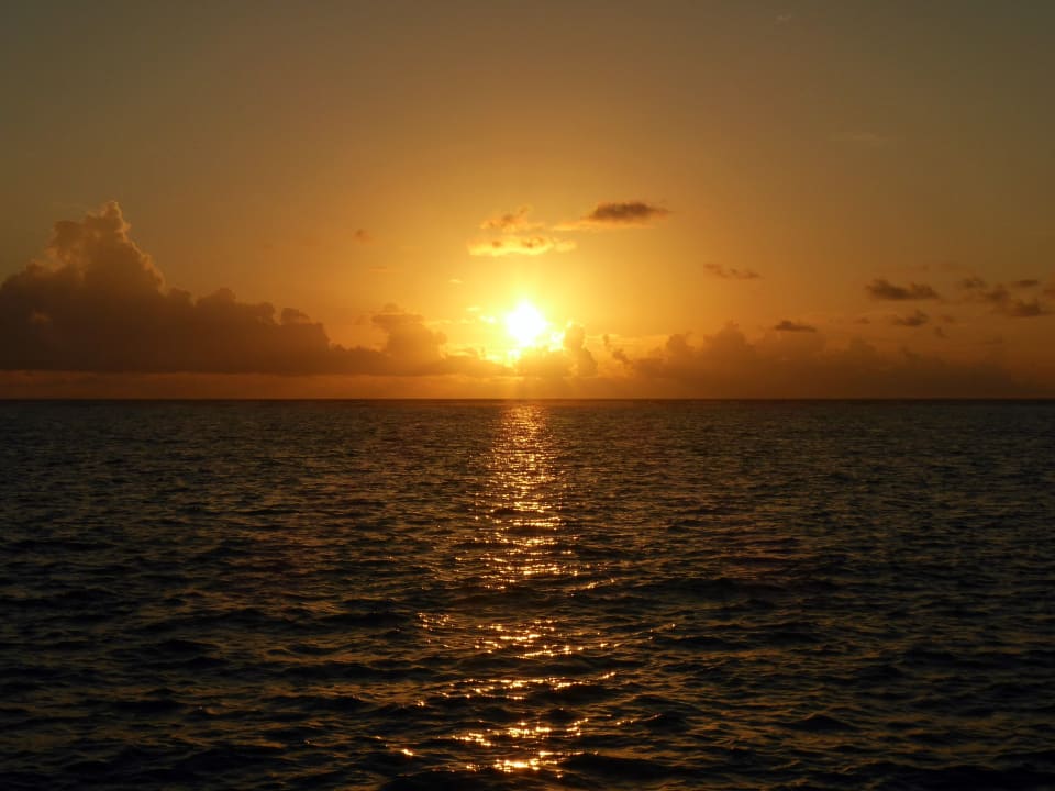 Ausblick Summer Island Maldives
