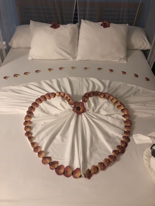 Zimmer Kuredu Island Resort & Spa