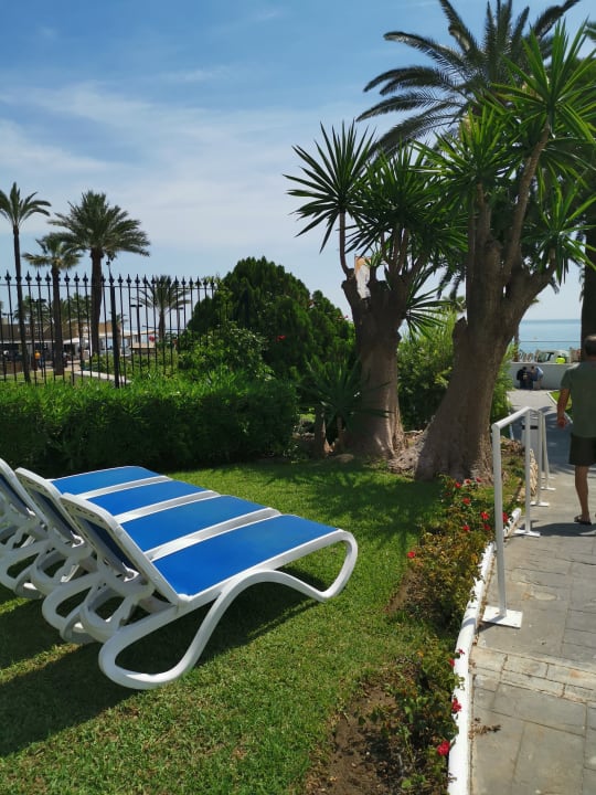 Gartenanlage Globales Gardenia