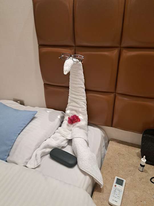 Zimmer Giftun Azur Resort