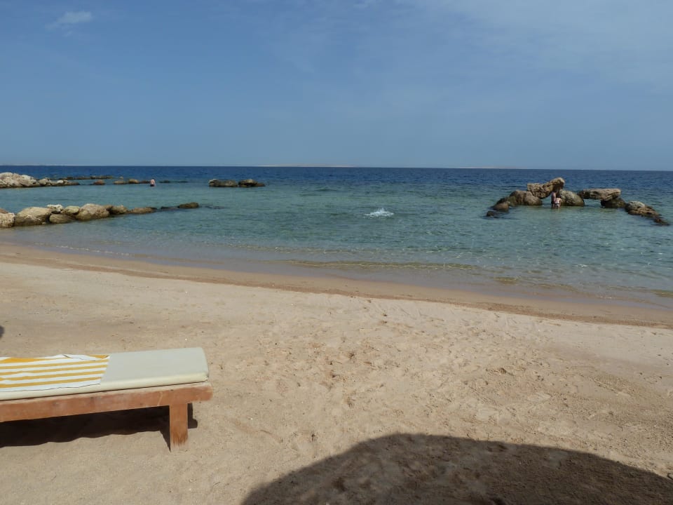 Schnorcheln vom Strand aus Pickalbatros Citadel Resort