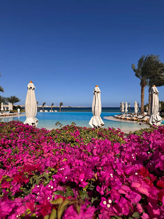 Pool Baron Palace Sahl Hasheesh