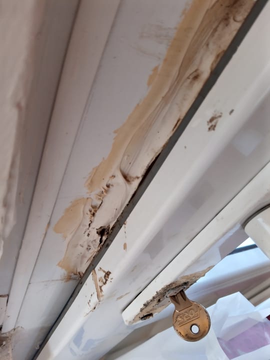 Zimmer Side Tuana Garden Home