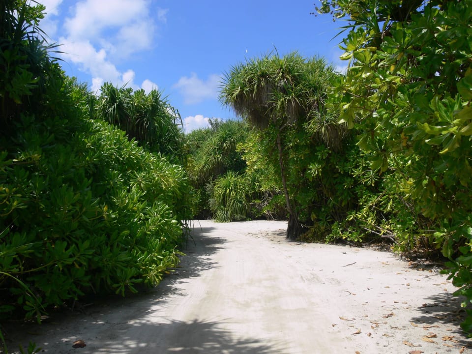 Weg im Ressort (O Bereich) Kuredu Island Resort & Spa
