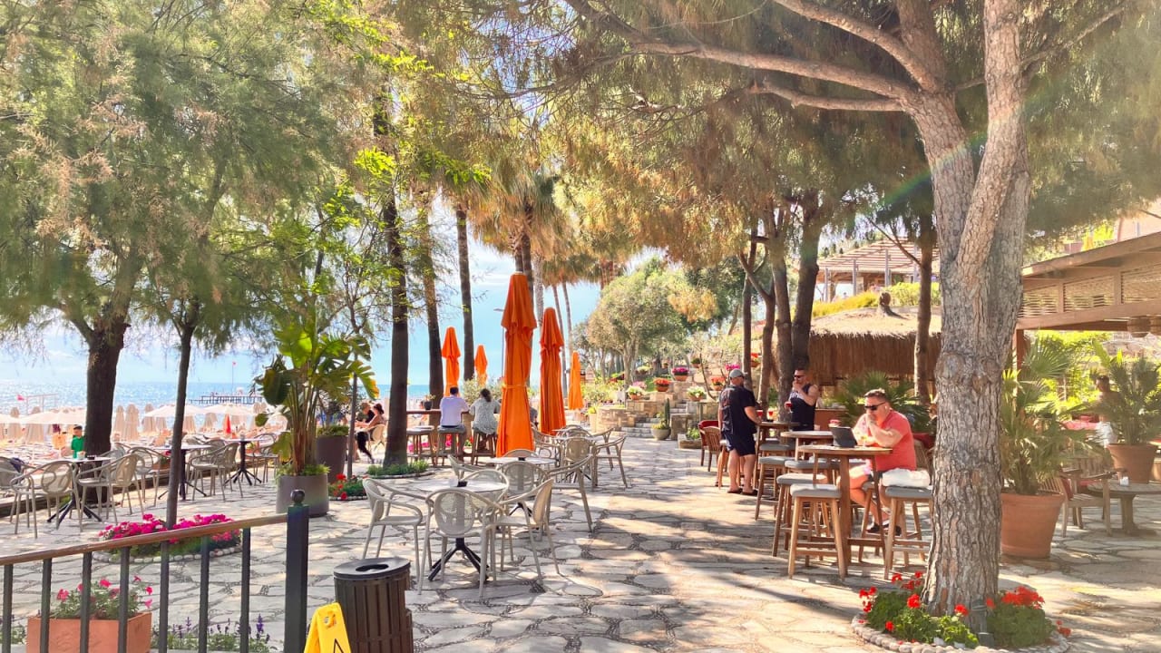 Gastro Arum Barut Collection