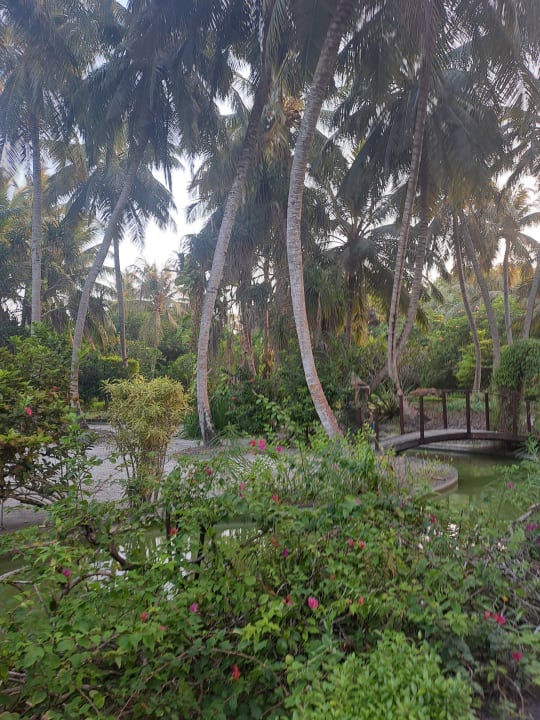 Gartenanlage Adaaran Select Meedhupparu Island Resort - Premium All Inclusive