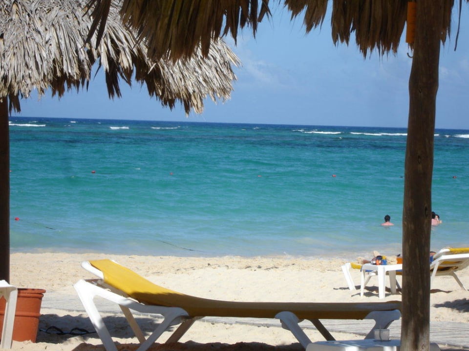 Ausblick von den Liegen zum Meer Iberostar Waves Punta Cana