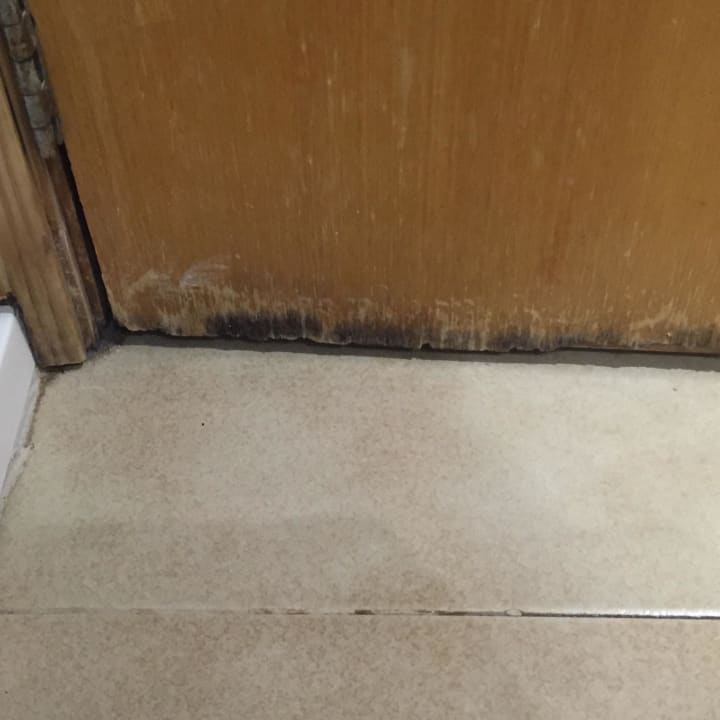 Tür total verschimmelt Globales Bouganvilla