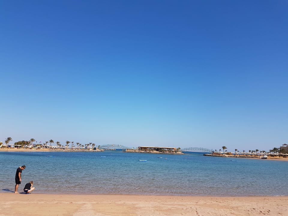 Desert Rose Resort Desert Rose