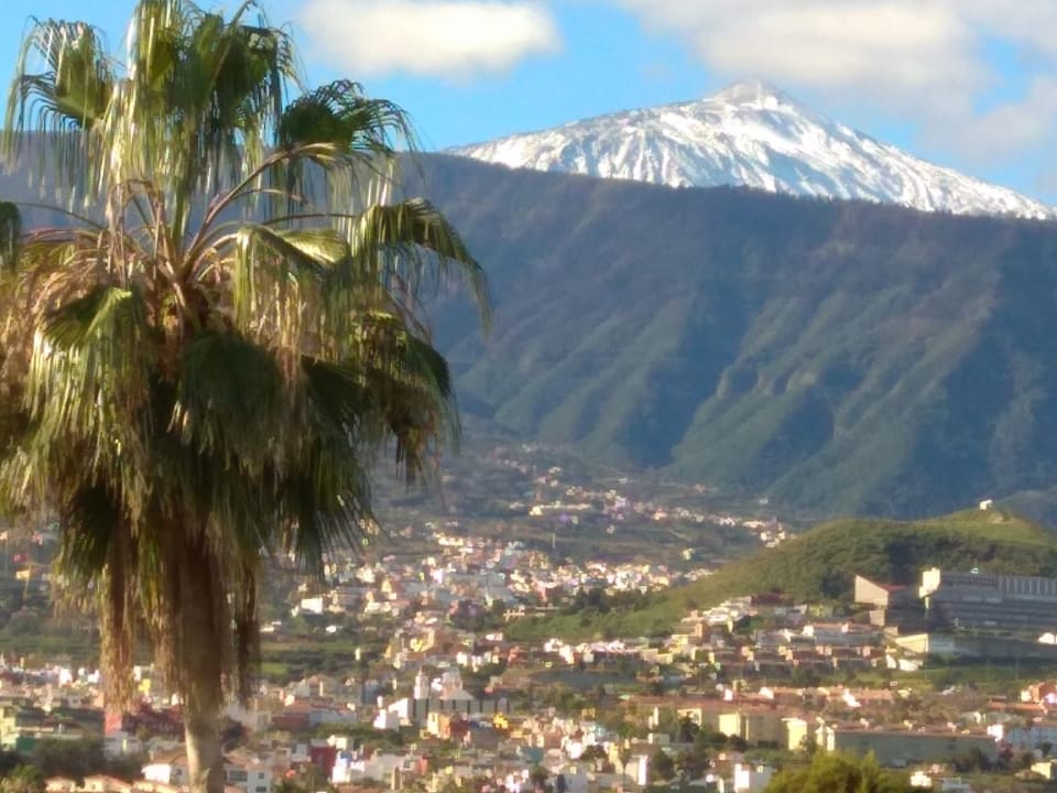 Gartenanlage TRH Taoro Garden