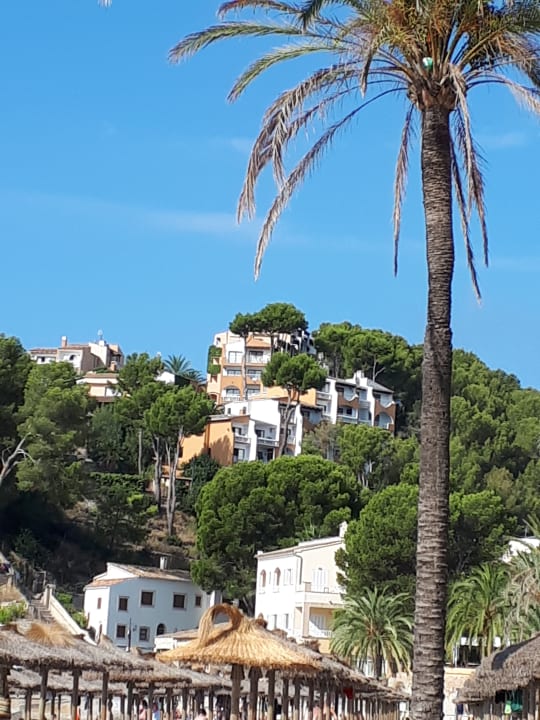 Ausblick FLOR los Almendros Hotel