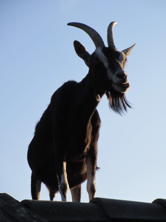 Sonstiges Ferienhof Feinen