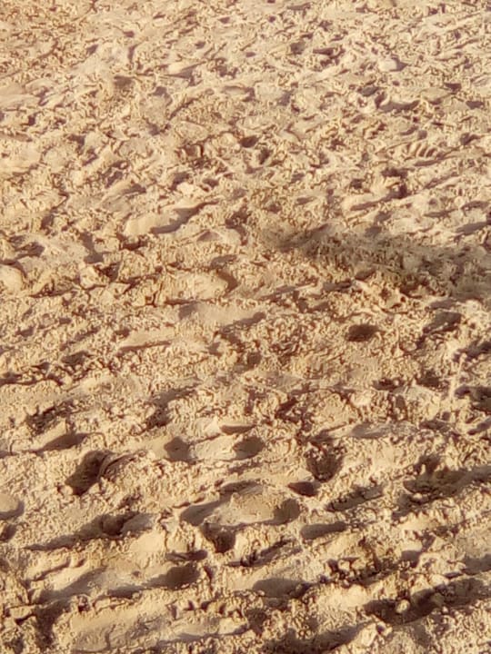 Strand Dream Family Club