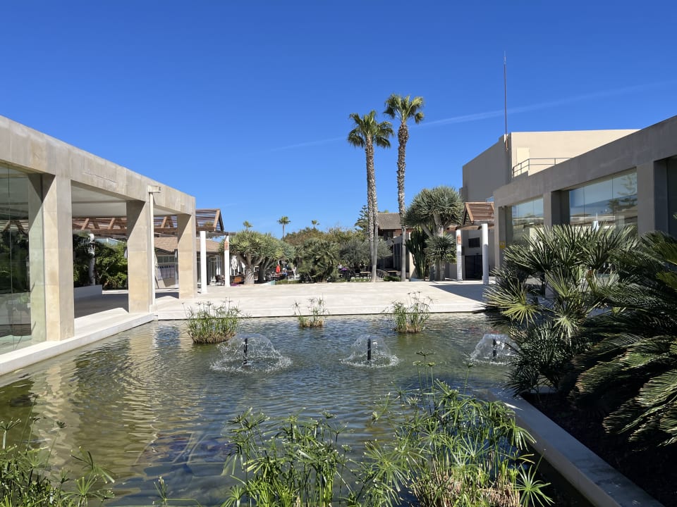 Gartenanlage allsun Hotel Eden Playa