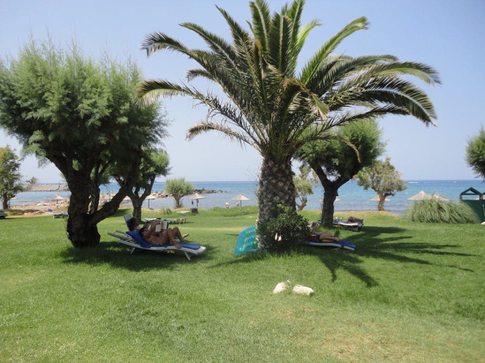 Widok na plażę allsun Hotel Malia Beach