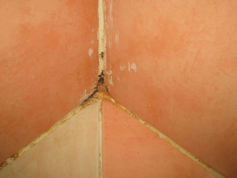 Zimmer Deluxe Jaz Makadi Oasis Resort