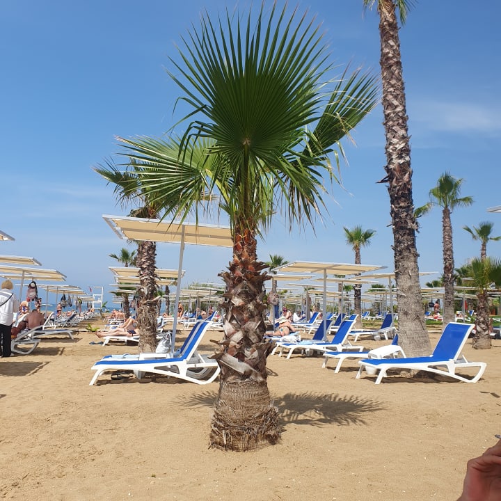 Strand Hotel Süral Resort