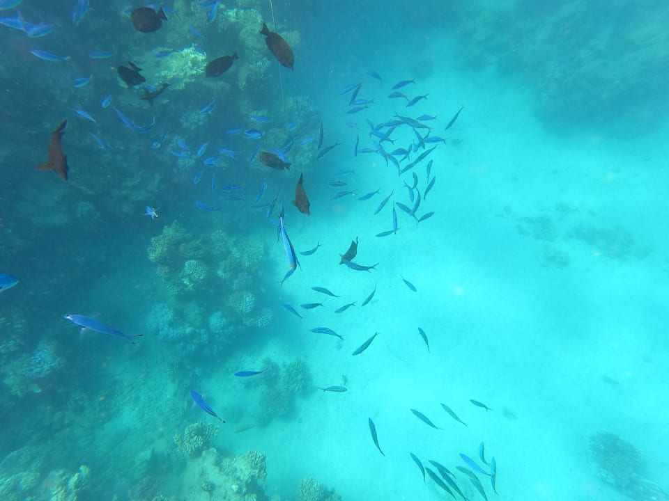 Sport & Freizeit TUI BLUE Samaya