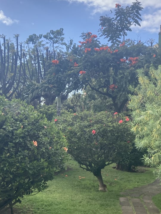 Gartenanlage BLUESEA Costa Jardin Spa