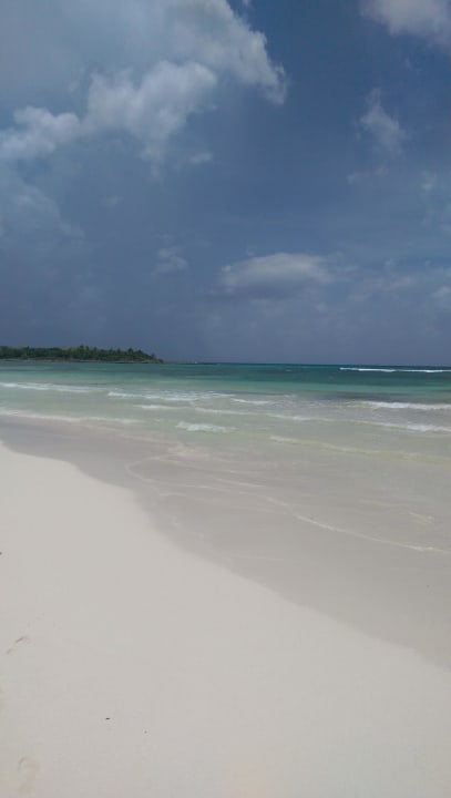Strandabschnitt ohne Seegras! Catalonia Royal Tulum Beach & Spa Resort - Adults only