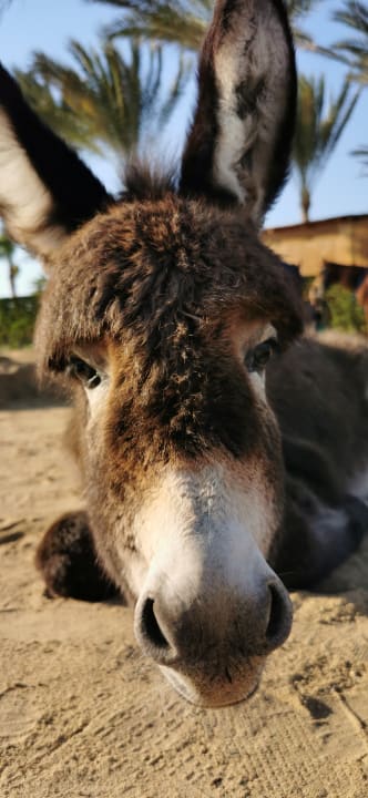 Sonstiges Casa Mare Resort