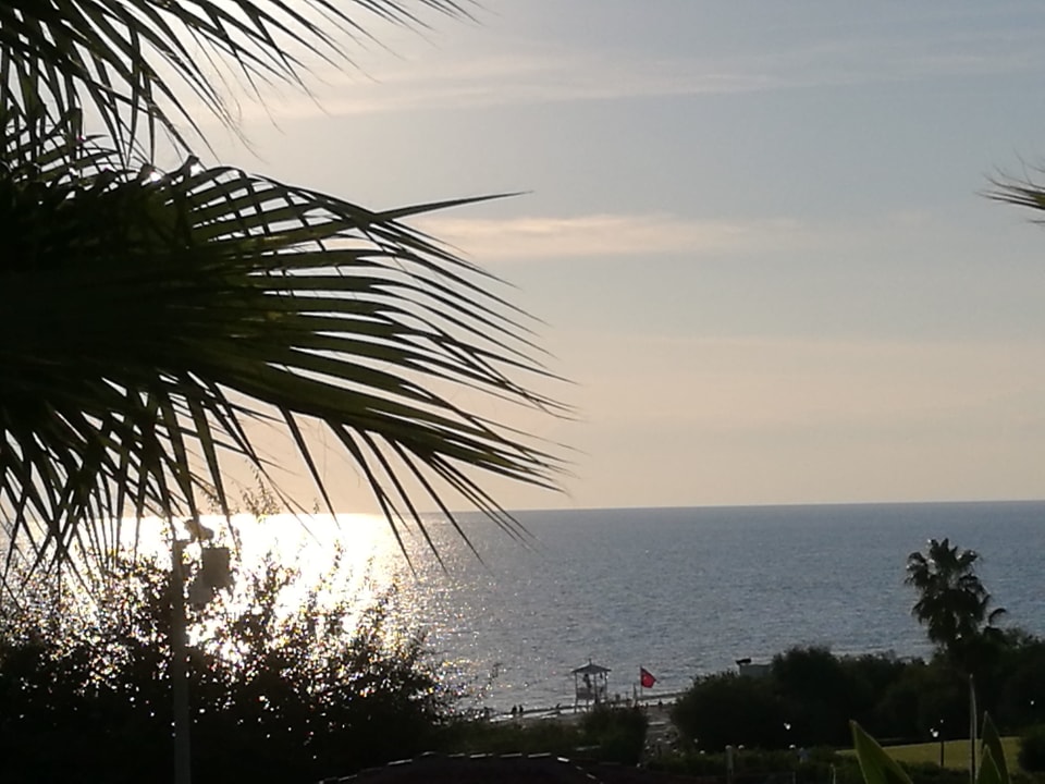 Ausblick Alba Queen Hotel