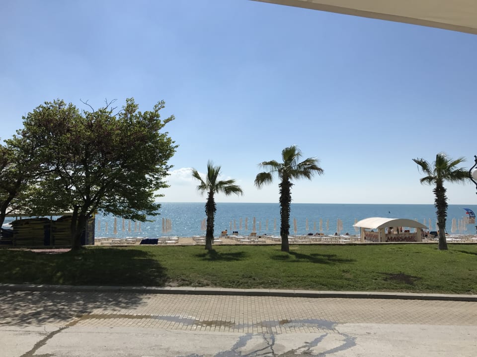 Strand Sentido Marea