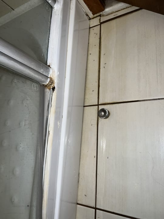 Zimmer Asteria Family Belek