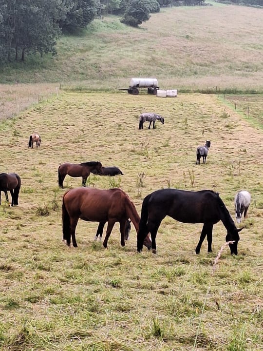 Sport & Freizeit AHORN Berghotel Friedrichroda