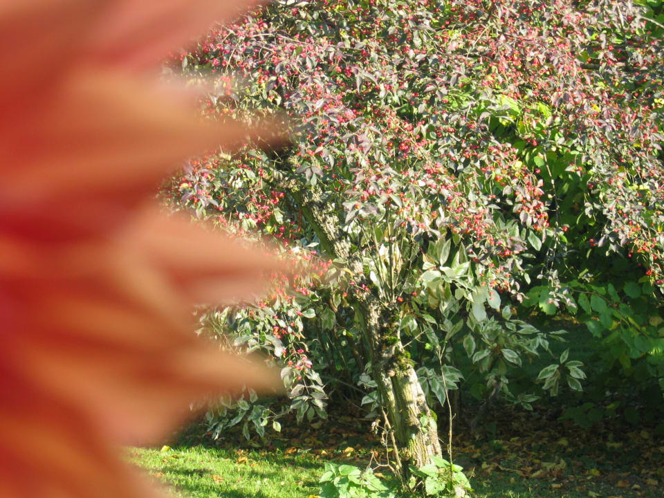 Frühling & Sommer rund ums Sporthotel Achental Das Achental Resort