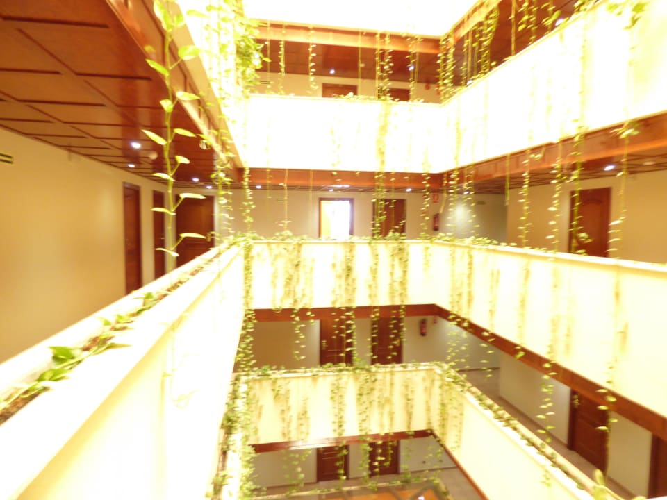 Etagen Hotel Don Angel