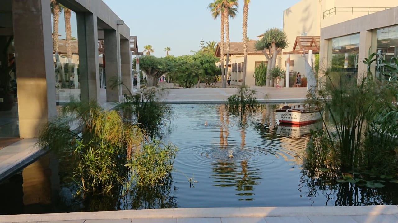 Außenansicht allsun Hotel Eden Playa