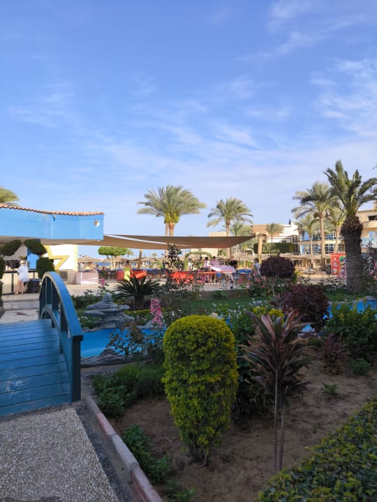 Gartenanlage Seagull Beach Resort