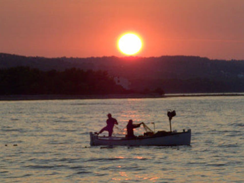 Fischer bei der Arbeit Aminess Vival Casa Velaris