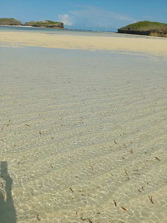 Strand AHG Lion Beach Resort