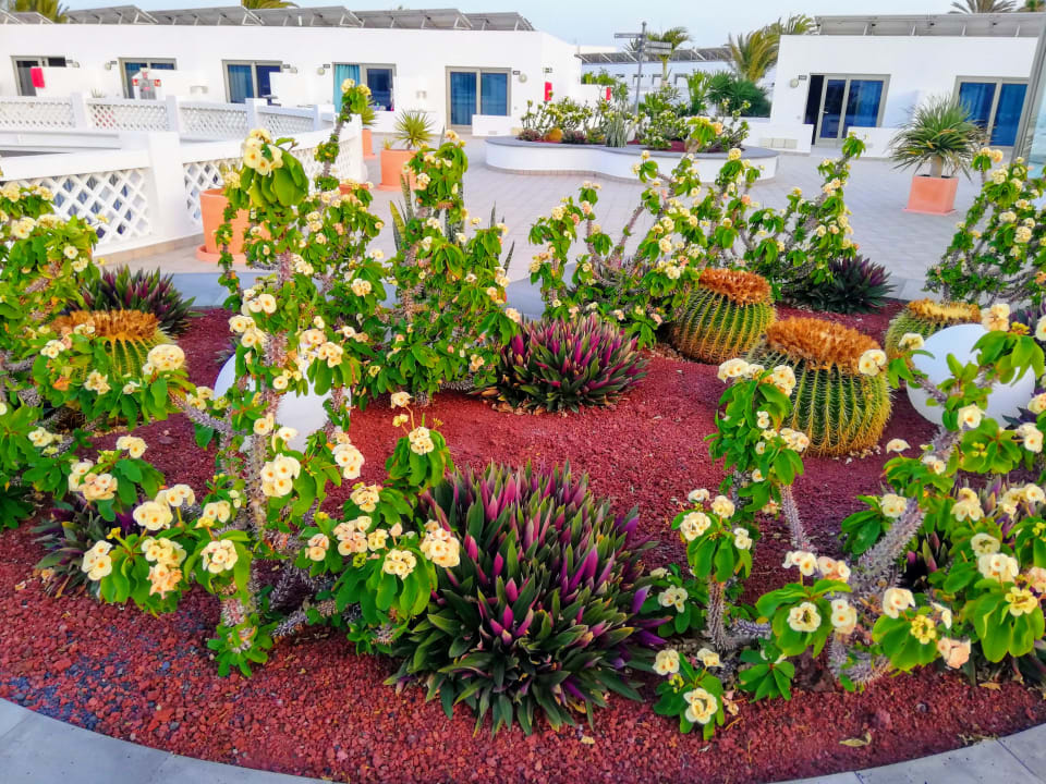 Gartenanlage Hotel Las Costas