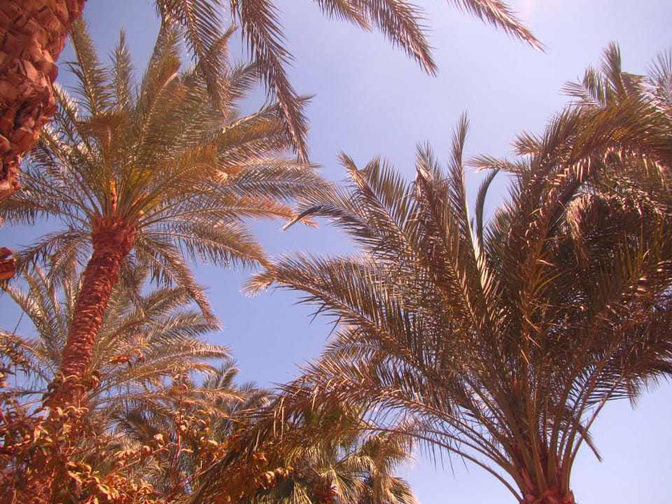 Gartenanlage Brayka Bay Resort