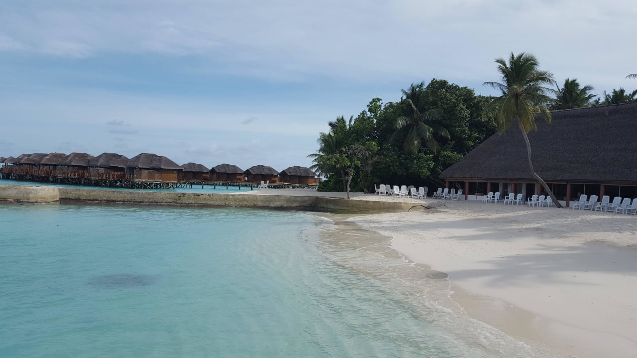 Strand Bluelagoon Bar Fihalhohi Maldives