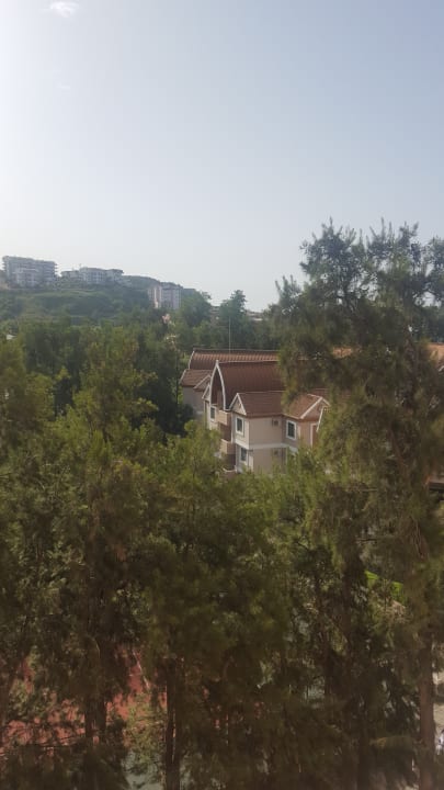 Ausblick Dizalya Palm Garden