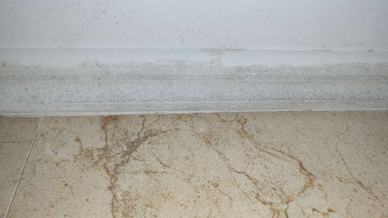 Zimmer Club Side Coast