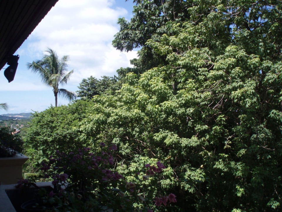 Ausblick vom Balkon The Fair House Beach Resort