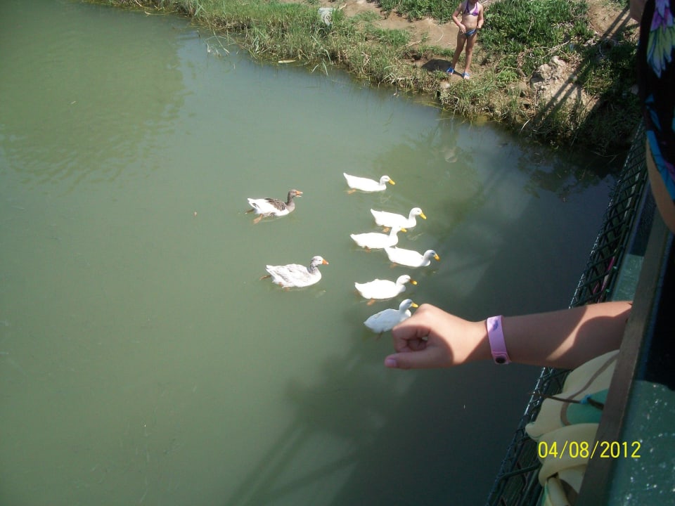 Мостик по пути на пляж Selge Beach Resort