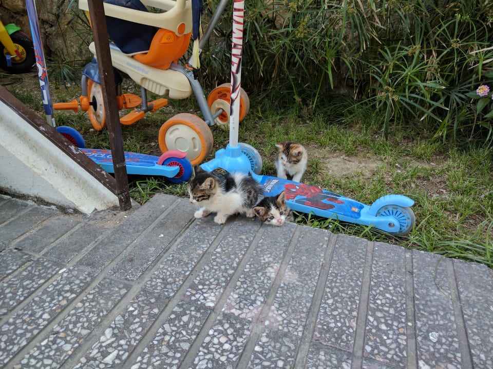 Gartenanlage Hotel Sirma