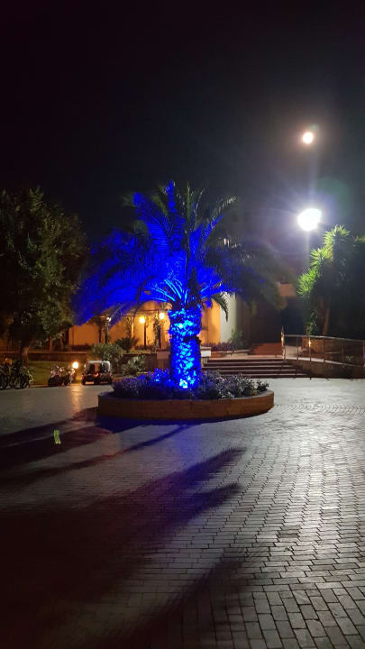 Gartenanlage Horus Paradise Luxury Resort & Club