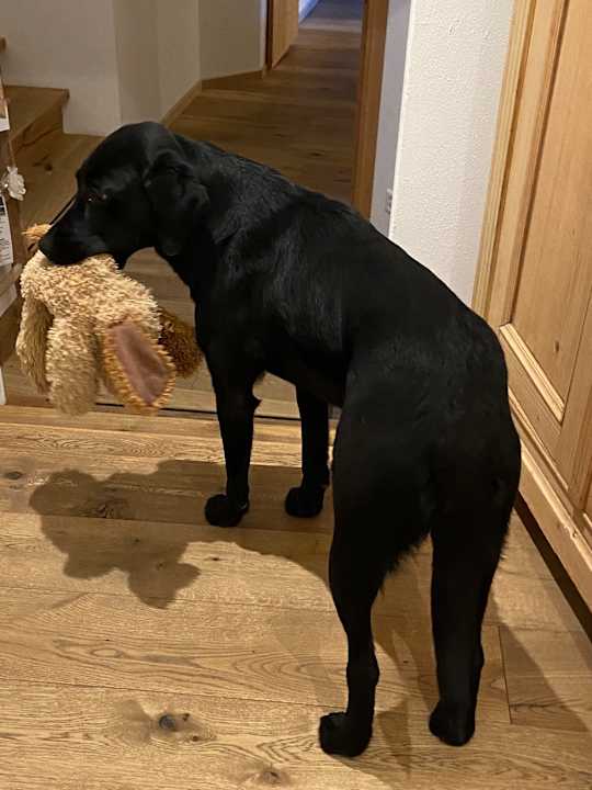 Sonstiges Chesa Staila Hotel - B&B