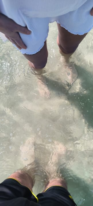 Strand Pickalbatros White Beach Resort - Hurghada